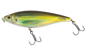 Olive Back Shad