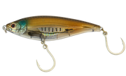 Mangrove Shad