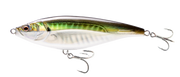 Olive Back Shad