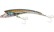 Mangrove Shad