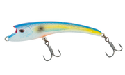 Sexy Shad