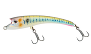 Threadfin Shad