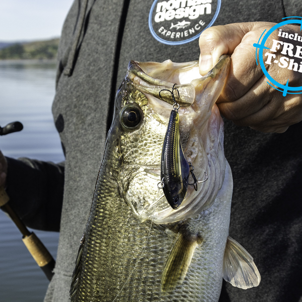 Nomad Tackle Ultimate Bass Lures Bundle - Main Image