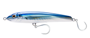 Blue Back Shad