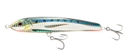 Sardine