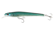Olive Back Pilchard