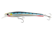 Sardine