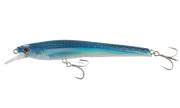 Blue Back Shad