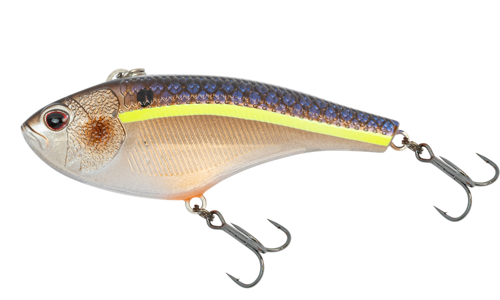 bass lures lanse Truscend 6 Pack Swimming Shad Angler's Club BASS PRO Largemouth bass fishing lures wobbler