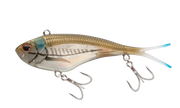 Mangrove Shad