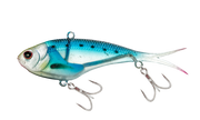 Sardine