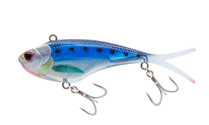Sardine
